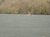 DSC00482.JPG