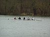 P1050084.JPG