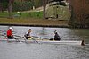 IMGP1191.jpg