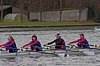 IMGP1216.jpg