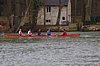 IMGP1217.jpg