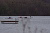 IMGP1346.jpg