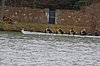 IMGP1376.jpg