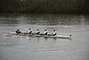 IMG_18341.JPG