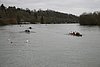 IMG_18359.JPG