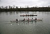 IMG_18366.JPG