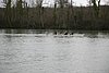 IMG_18396.JPG