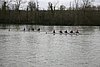 IMG_18420.JPG