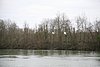 IMG_18453.JPG