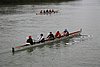 IMG_18469.JPG