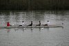 IMG_18481.JPG
