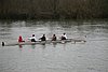 IMG_18482.JPG