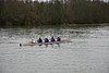 IMG_18516.JPG