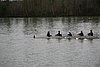 IMG_18522.JPG