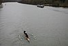 IMG_18646.JPG