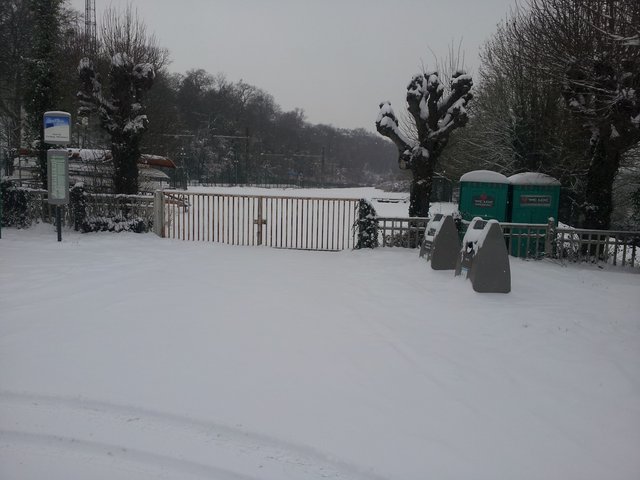 20130120_110613.jpg