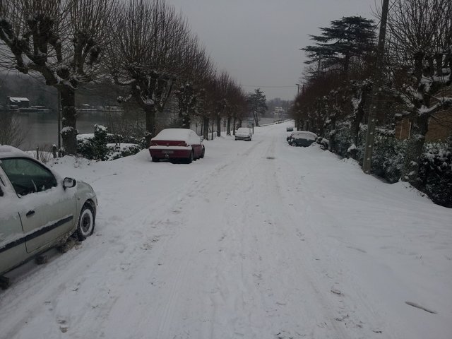 20130120_110631.jpg