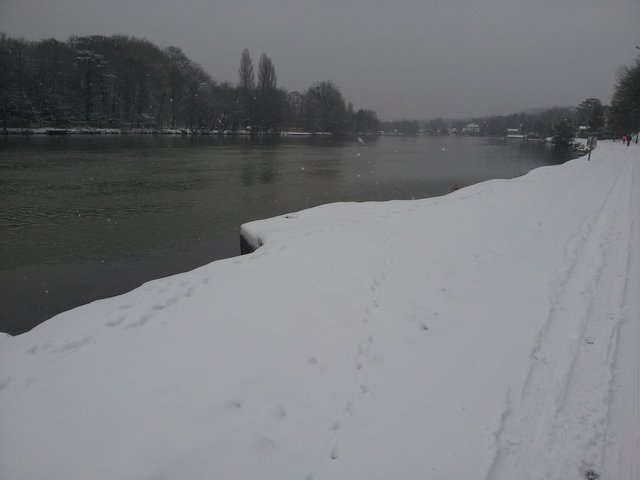 20130120_110924.jpg