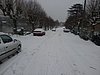 20130120_110631.jpg