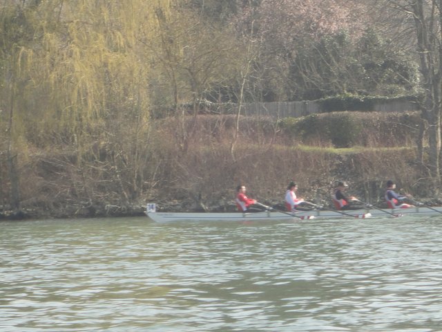 RSC05061.JPG