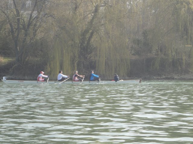 RSC05067.JPG