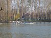 P1010922.JPG