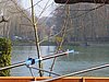 P1010930.JPG