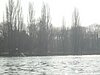 RSC05086.JPG