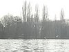 RSC05090.JPG
