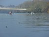P1010358.JPG