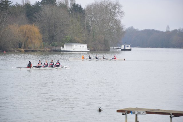 DSC_1119.JPG