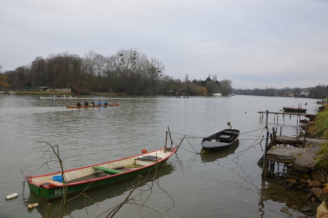 DSC_1135.JPG