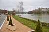DSC_1170.JPG