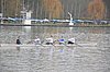 DSC_1195.JPG