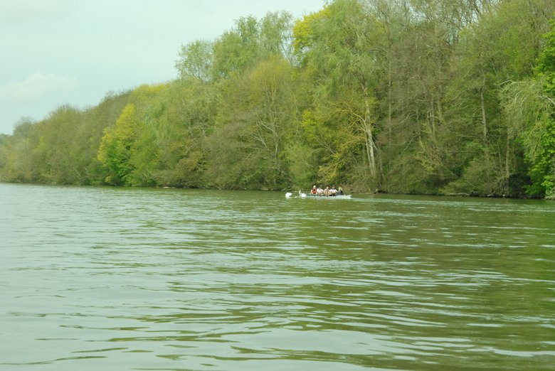 DSC_0156.JPG