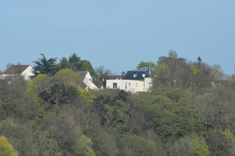 DSC_1031.JPG
