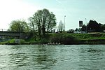 DSC_0120.JPG