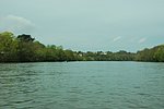 DSC_0125.JPG