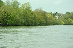 DSC_0152.JPG