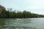 DSC_0173.JPG