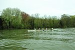 DSC_0175.JPG