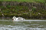 DSC_1140.JPG
