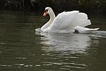 DSC_1148.JPG