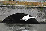 DSC_1151.JPG
