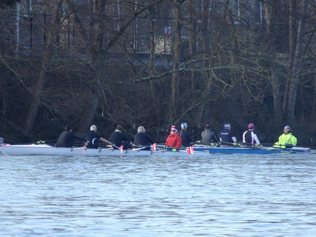 DSC04203.JPG