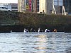 DSC04180.JPG