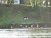 DSC04183.JPG
