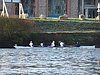 DSC04187.JPG