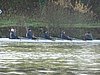 DSC04238.JPG