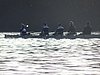 DSC04255.JPG